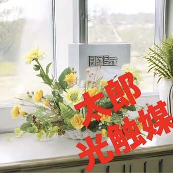 光触媒　人工観葉植物　ウォールグリーン　フェイクグリーン　ソリドール