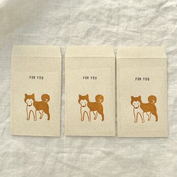 小さな封筒•わんこ