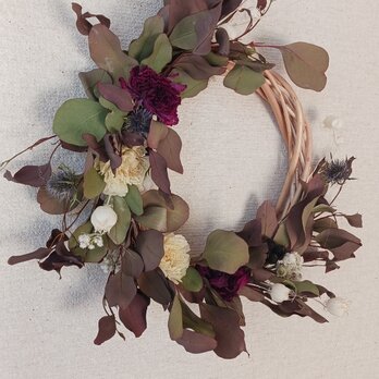 (送料無料)ドライフラワーリース　ユーカリと、