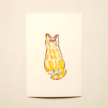 ㉞「茶トラ猫（ドローイング）」ポストカード同柄3枚セット　絵葉書 メッセージカード イラスト　送料無料