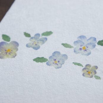 のし袋　ビオラ