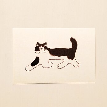 ㉟「猫（ドローイング）」ポストカード同柄3枚セット　絵葉書 メッセージカード イラスト　送料無料