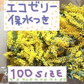 フレッシュミモザ素材箱詰め　エコゼリー保水つき　クロネコ100サイズ