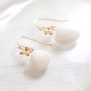白い貝殻と淡水パールの耳飾り