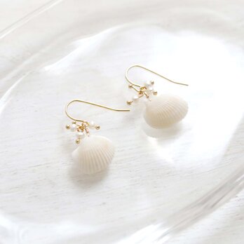 白い貝殻と淡水パールの耳飾り