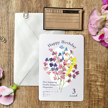 3月スイートピー＊花言葉のバースデーカード