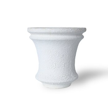 パルバコステリッチオ / M / ヒビ白（鉢・プランター）