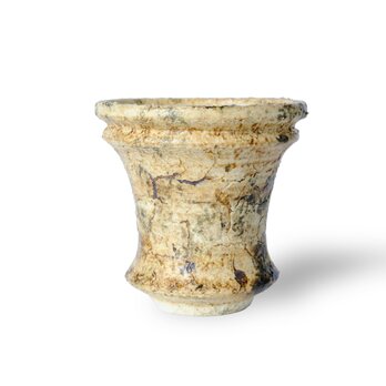 パルバコステリッチオ / M / 亀裂層（鉢・プランター）