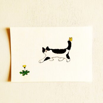 ㊴「ハチワレ猫の散歩」ポストカード同柄3枚セット　絵葉書 メッセージカード イラスト　送料無料