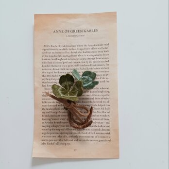 染め布花＊三つ葉と四つ葉のクローバーのコサージュ