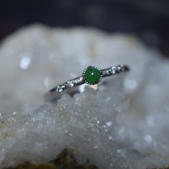 RG10-181 シルバー ミャンマー産 果緑 本翡翠 ヒスイ 指輪 フリーサイズ 金属アレルギー対応