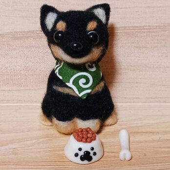 柴豆　唐草模様のバンダナ・餌骨付き