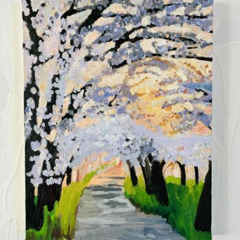 油彩画 「朝の桜　20262」｜アート 絵画 原画 32×41cm F6 キャンバス　