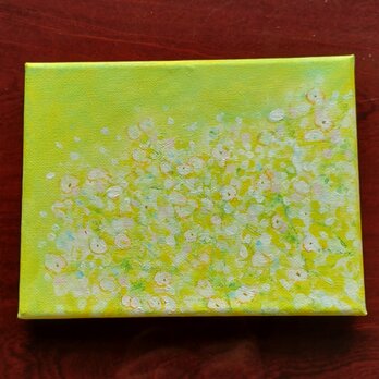 柔らかに咲く白い花