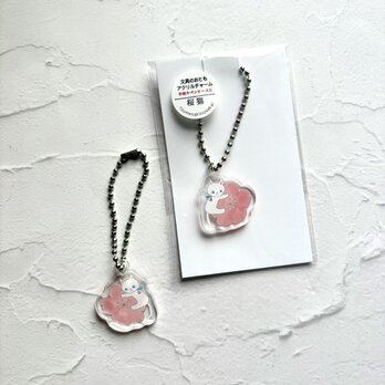 新発売SALE // アクリルチャーム　桜猫