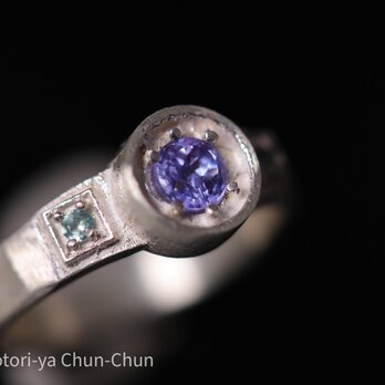 【脳ある鷹は爪を隠す】タンザナイト＆インド産アレキサンドライト・能鷹リング【藤鷹】