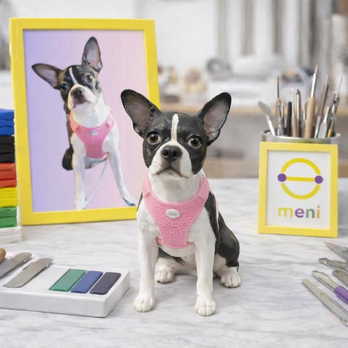 写真から作るオーダーメイドペットフィギュア｜愛犬・愛猫そっくり似顔人形｜うちの子 肖像画 置物｜世界に一つ メモリアルギフト