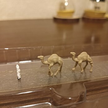 アラブ人１人とラクダ２頭