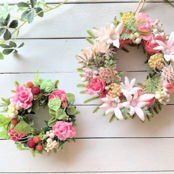 フランネルフラワーとピンクローズのアーティフィシャルフラワーリースとミニリース（2点セット）[a20261003]