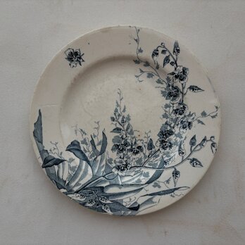 KG LUNEVILLE リュネヴィル 宿根のスイートピー デザートプレート