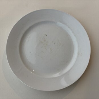 K&G Luneville リュネヴィル 白アンティークプレート（大）ディナープレート