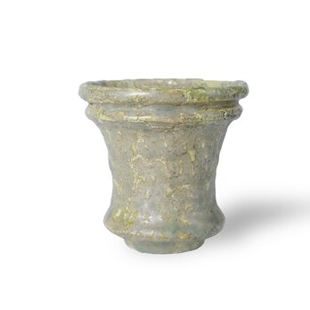 パルバコステリッチオ / M / 亀裂天緑（鉢・プランター）