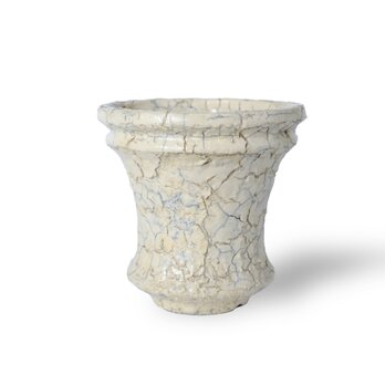 パルバコステリッチオ / M / 亀裂白層（鉢・プランター）