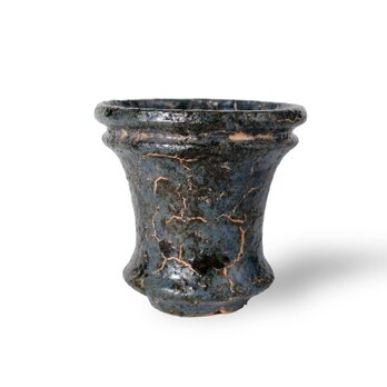 パルバコステリッチオ / M / 亀裂黒岩（鉢・プランター）