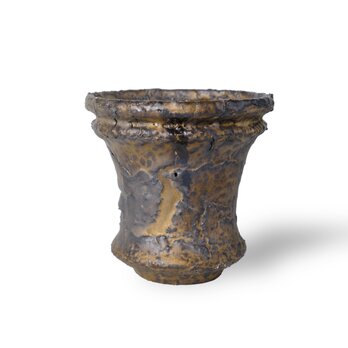 パルバコステリッチオ / M / 亀裂金岩（鉢・プランター）