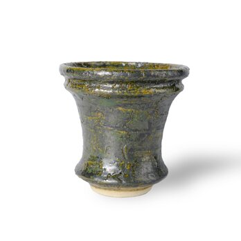 パルバコステリッチオ / M / 亀裂碧層（鉢・プランター）