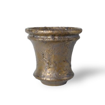 パルバコステリッチオ / M / 亀裂金層（鉢・プランター）