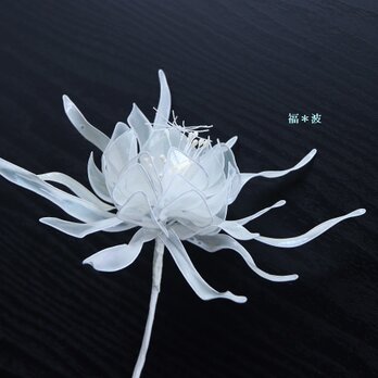 ﾟ･*:.｡. 月下美人 オーロラ .｡.:*･ﾟ 虹 しゃぼん玉 オーロラ 和装 Flower ドレス 結婚式 ウエディング