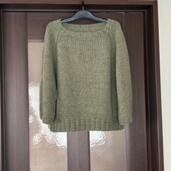 ふんわり袖のプルオーバー  (送料込み)