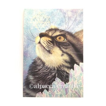 ミラクルキャット【ポストカード】（2枚セット）