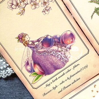 妖精たちのファッションプレートポストカード集[2019-4]