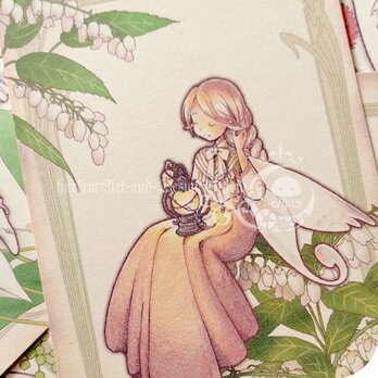 12の月の誕生鳥ポストカード集[2025-10]