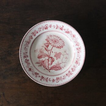 Creil クレイユ 平皿 植物柄 20.5cm フランス アンティーク b 0502341