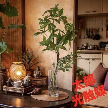 光触媒　人工観葉植物　ウォールグリーン　フェイクグリーン　マジカルウォーター