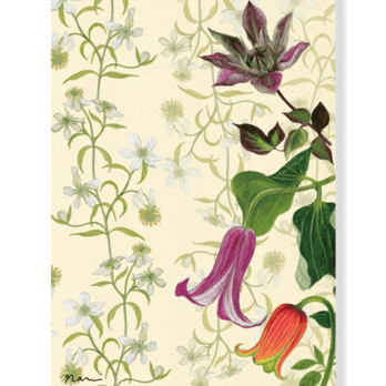 グリーティングカード　クレマチス アソート