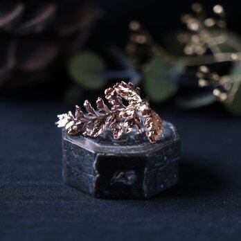 ダバリアの葉を銅化したイヤーカフ