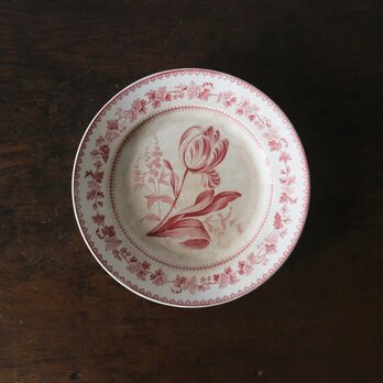 Creil クレイユ 平皿 植物柄 20.5cm フランス アンティーク a 0502341