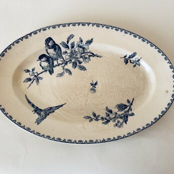 Sarreguemines　FAVORI / サルグミンヌ　ファボリ　古手　シャビーオーバル皿