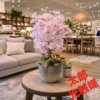光触媒　人工観葉植物　ウォールグリーン　フェイクグリーン　桜アレンジ@gja