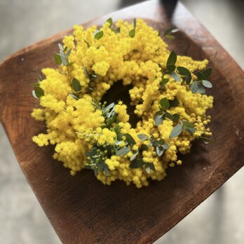 ミモザとユーカリのフレッシュリース♬