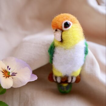シロハラインコの羊毛フェルトブローチ