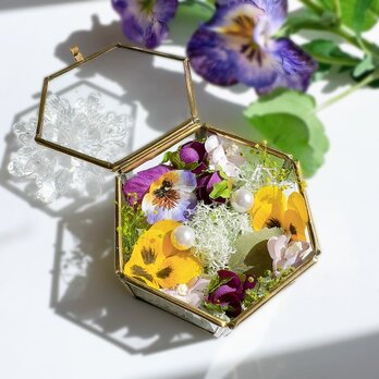 春を告げるビオラのリングピロー  Viola ガラスケース