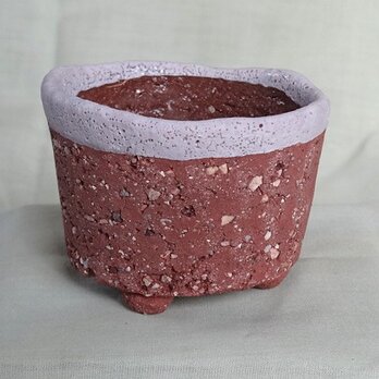 G1極粗土の植物用小鉢　
