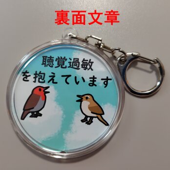 雲海小鳥　聴覚過敏キーホルダー【裏面文章】