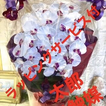 光触媒　人工観葉植物　ウォールグリーン　フェイクグリーン　胡蝶蘭8155