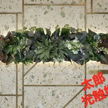 光触媒　人工観葉植物　ウォールグリーン　フェイクグリーン　壁掛け556420b@